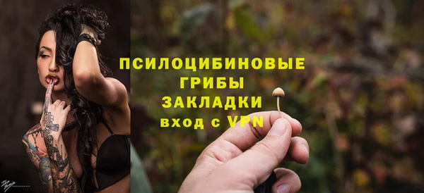 прущая мука Вяземский