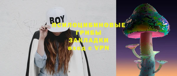 прущая мука Вязники