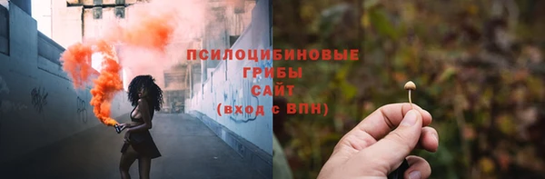 прущая мука Вяземский