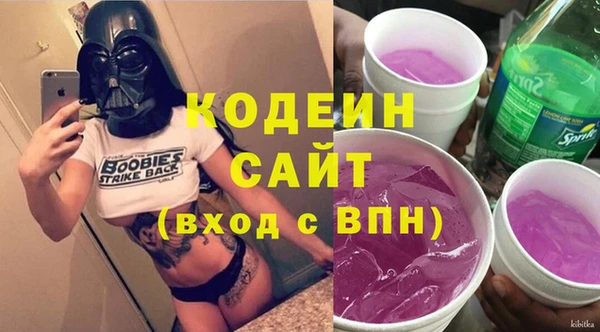 прущая мука Вяземский